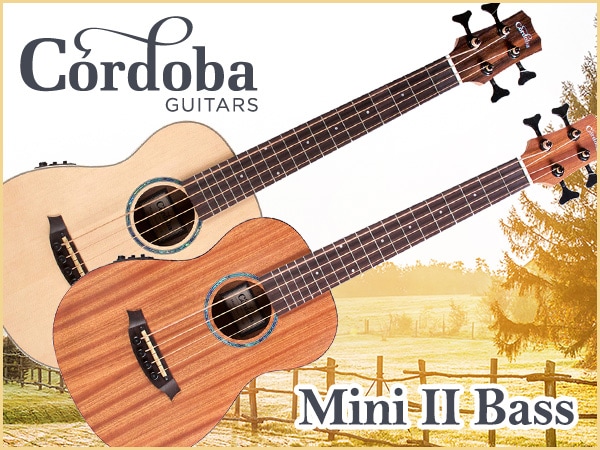 CORDOBA Mini Acoustic Bass is now available!