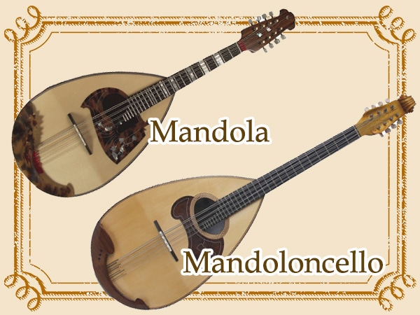 Mandola and Mandoloncello now available!