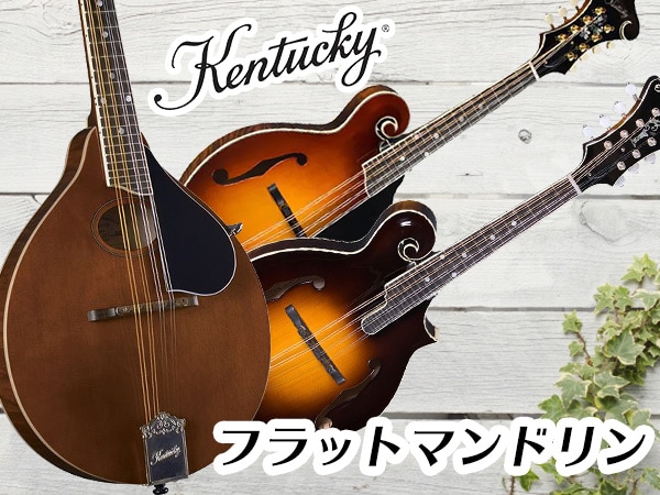 Kentuckyフラットマンドリン販売開始！