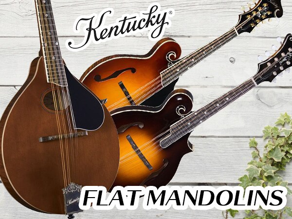 Kentucky flat mandolins now available!