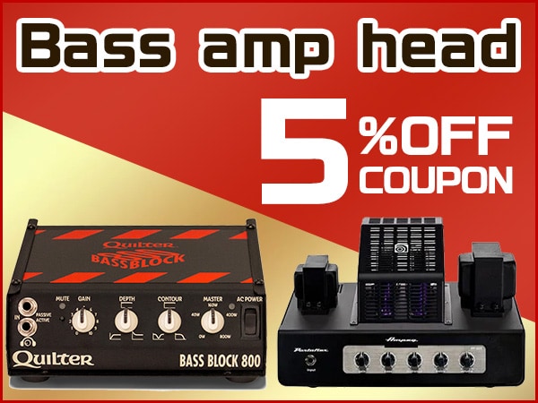 Bass amp head 5% off coupon!