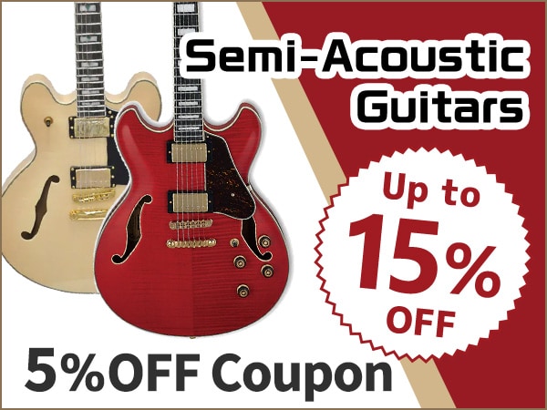 5% OFF Coupon for Semi-Acoustic Guitars!