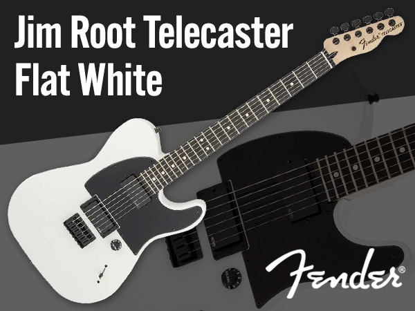 Fender Jim Root Signature model Special Price!
