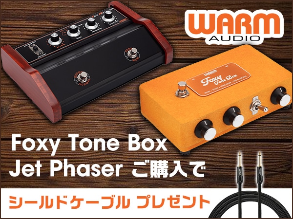 【数量限定】WARM AUDIOのシールドケーブルをプレゼント！