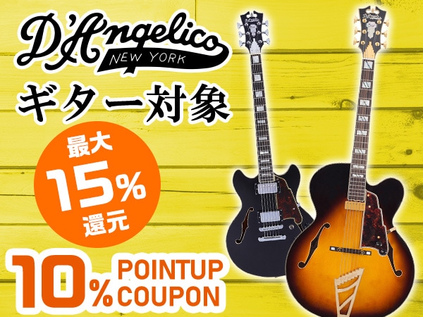 【最大15%還元】D'Angelicoギター対象ポイント10%アップクーポン！