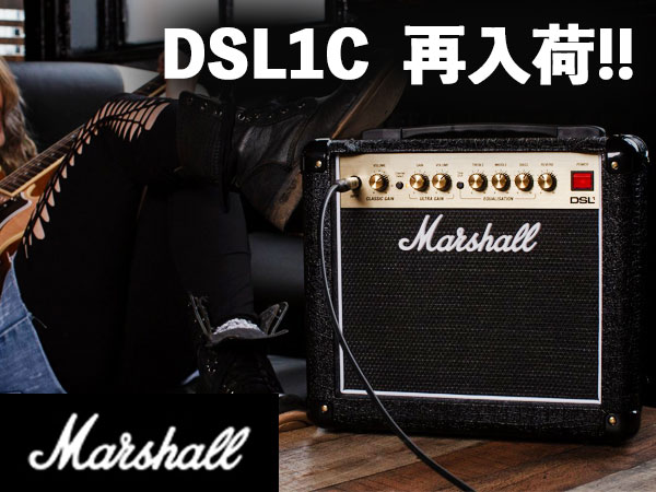 Marshall「DSLシリーズ」一部商品が再入荷！