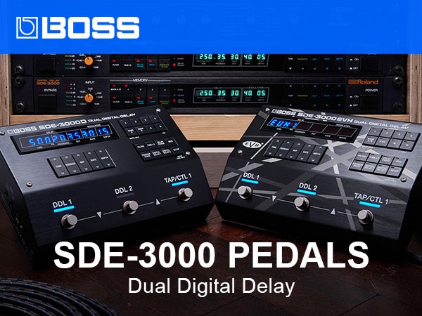 New delay pedal 