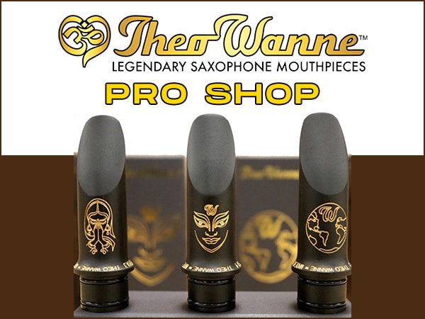 サウンドハウスがTheo Wanne Pro Shopになりました！
