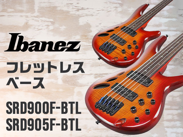 Ibanezフレットレスベース新製品が入荷！