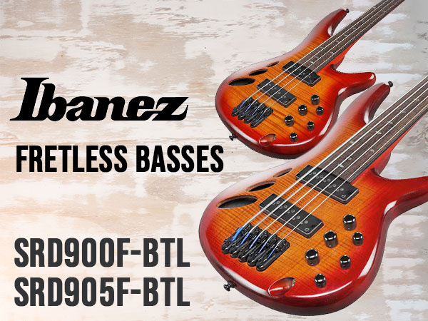 New Ibanez Fretless Basses Now in Stock!