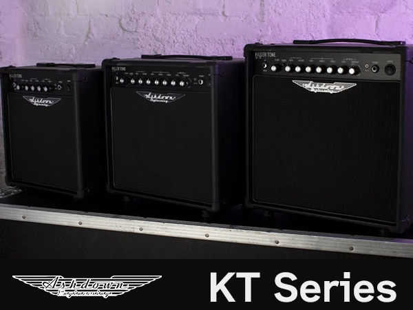 Guitar Combo Amps 