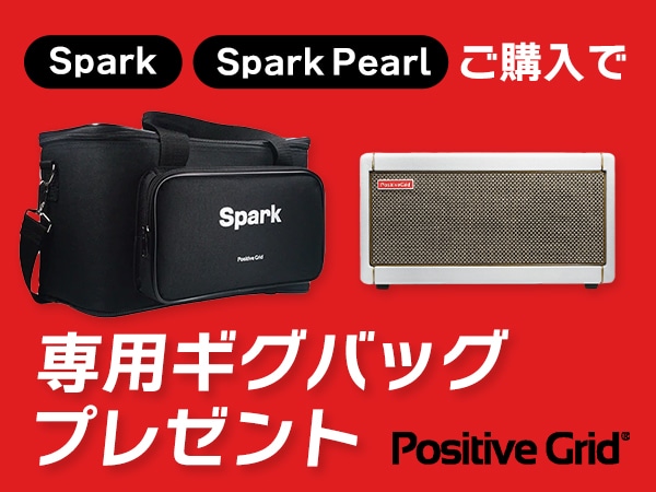 Free Gig Bag with Purchase of Positive Grid 
