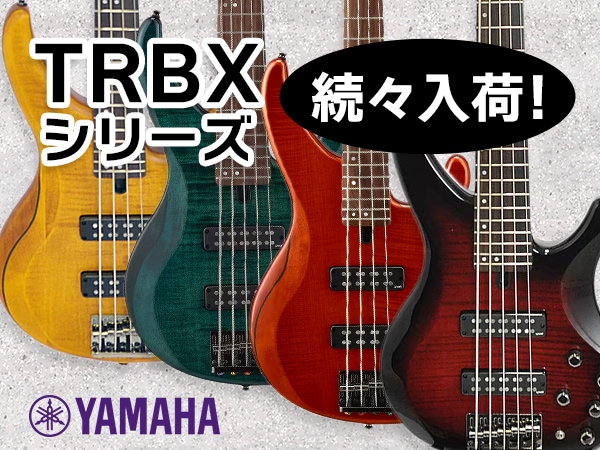 YAMAHAベース「TRBXシリーズ」続々入荷！