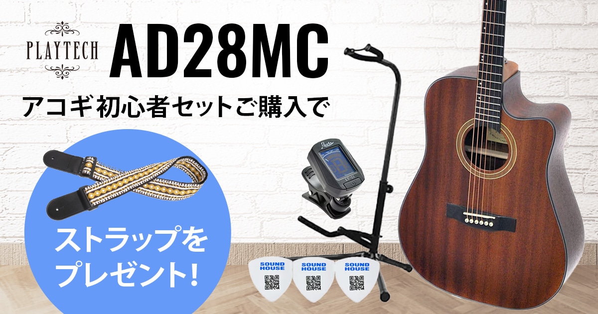 PLAYTECH AD28M オールマホガニー材ギター ギグバッグ付 PLAYTECH AD28M オールマホガニー材ギター ギグバッグ付