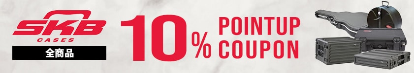 SKB ( エスケービー ) H4816W スタンド用収納ハードケース 送料無料