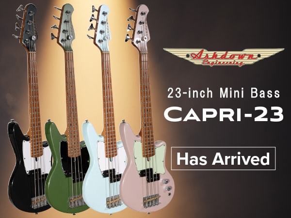 ASHDOWN's 23-inch Mini Bass, 
