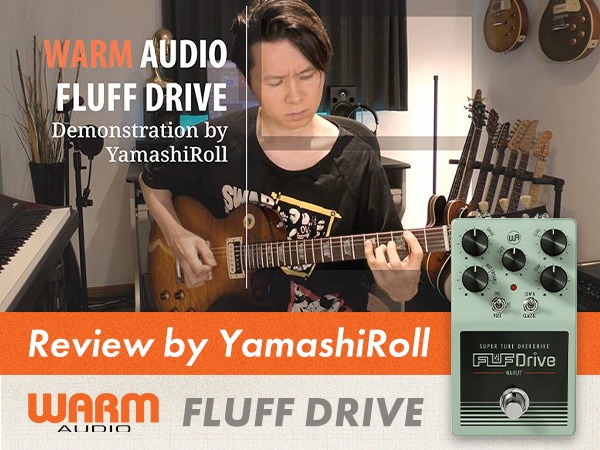 A Review of the WARM AUDIO 