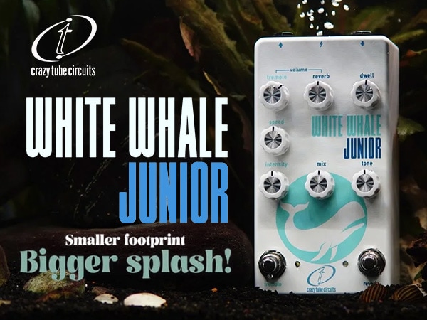 Crazy Tube Circuitsより、世界最小クラスの本物のアナログ・スプリングリバーブ「White Whale JR」が発売！