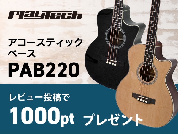 【もれなく1,000pt】PLAYTECHアコースティックベース「PAB220」レビュー投稿キャンペーン！