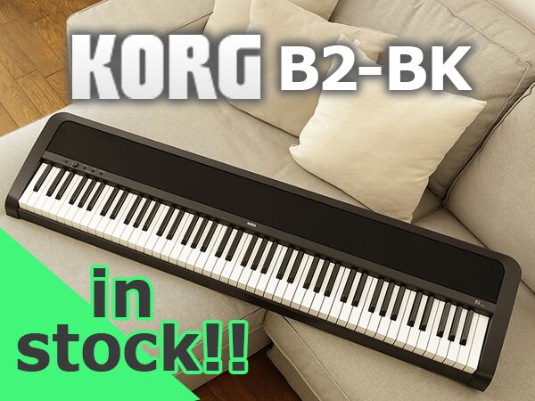 The popular electronic piano KORG 