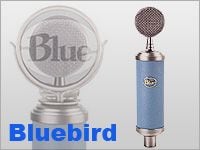 BLUE Bluebird、台数限定特価キャンペーン !