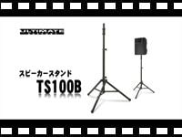 ULTIMATE TS-100B