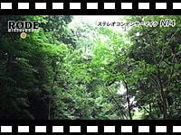 RODE NT4 フィールドレコーディング編 の動画をアップしました。