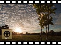 動画「RODE  60 Seconds on Set - iXYのフィールドレコーディング」をアップしました。