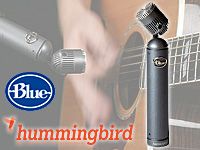 Blue Microphones Hummingbirdが入荷しました