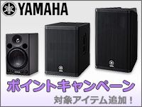 ポイントキャンペーン対象アイテム追加！