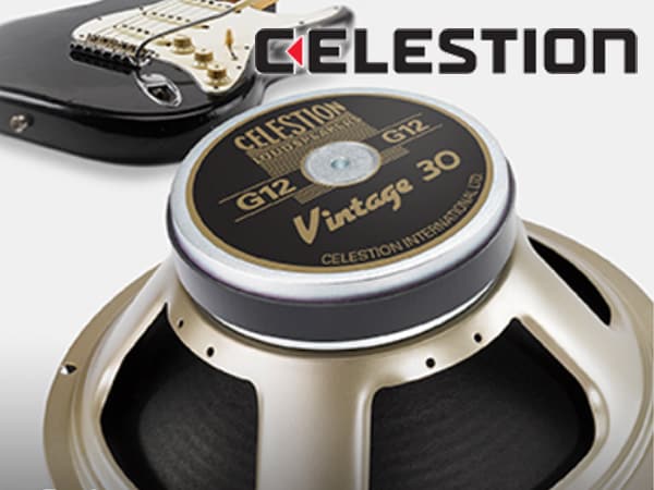 CELESTION speaker unit in making sound!