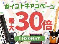 ポイント最大30倍キャンペーン、延長決定！