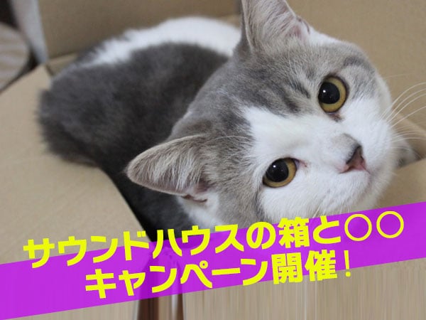 ペット大集合！サウンドハウスの箱と○○キャンペーン開催！