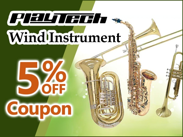 5% OFF Coupon for PLAYTECH Wind Instruments