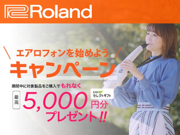 Roland Aerophone Cashback Campaign!