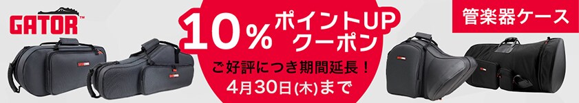 GATOR 軽量クラリネットケース GATOR ( ゲイター ) GL-CLARINET-A 軽量クラリネットケース 送料無料