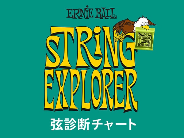 ERNIE BALL 弦診断チャート