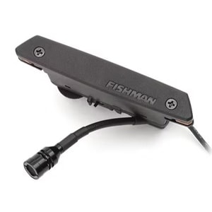 Rare Earth Mic Blend Active Soundhole Pickup