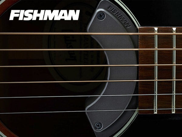 FISHMAN ブランドページ