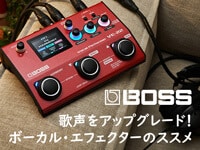 BOSS  ボス  VE WH ボーカルエフェクター 送料無料   サウンドハウス