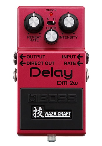 DM-2W