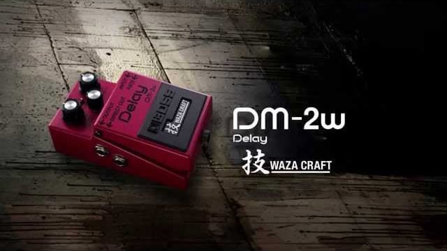 DM-2W 動画