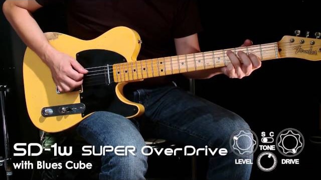 SD-1W 動画
