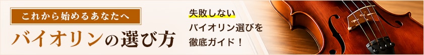 ENA ( エナ ) ENA No.10 アウトフィットバイオリンセット 1/4 送料無料