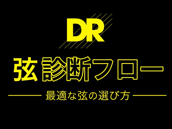 DR弦 診断フロー