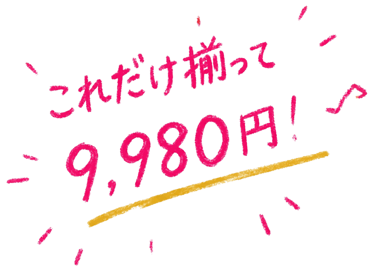 これだけ揃って 9,980円!