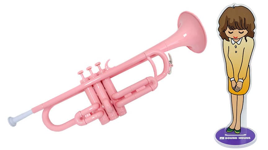 PTTR-050PKとサウンドハウスお姉さんアクリルスタンド