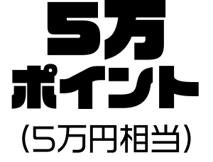 5万ポイント（5万円相当）
