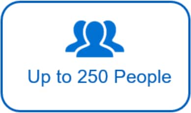 Up to 250 People