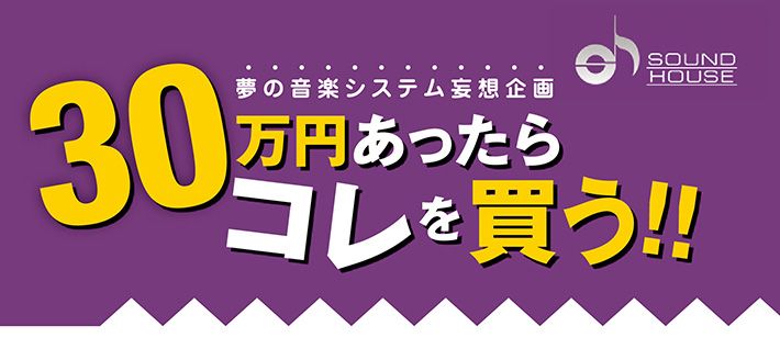 サンレコ連動30万円あったらコレを買う